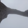 1715795681_IMG_20240421_165921