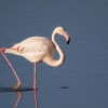 1717353012_IMG_0997 copia