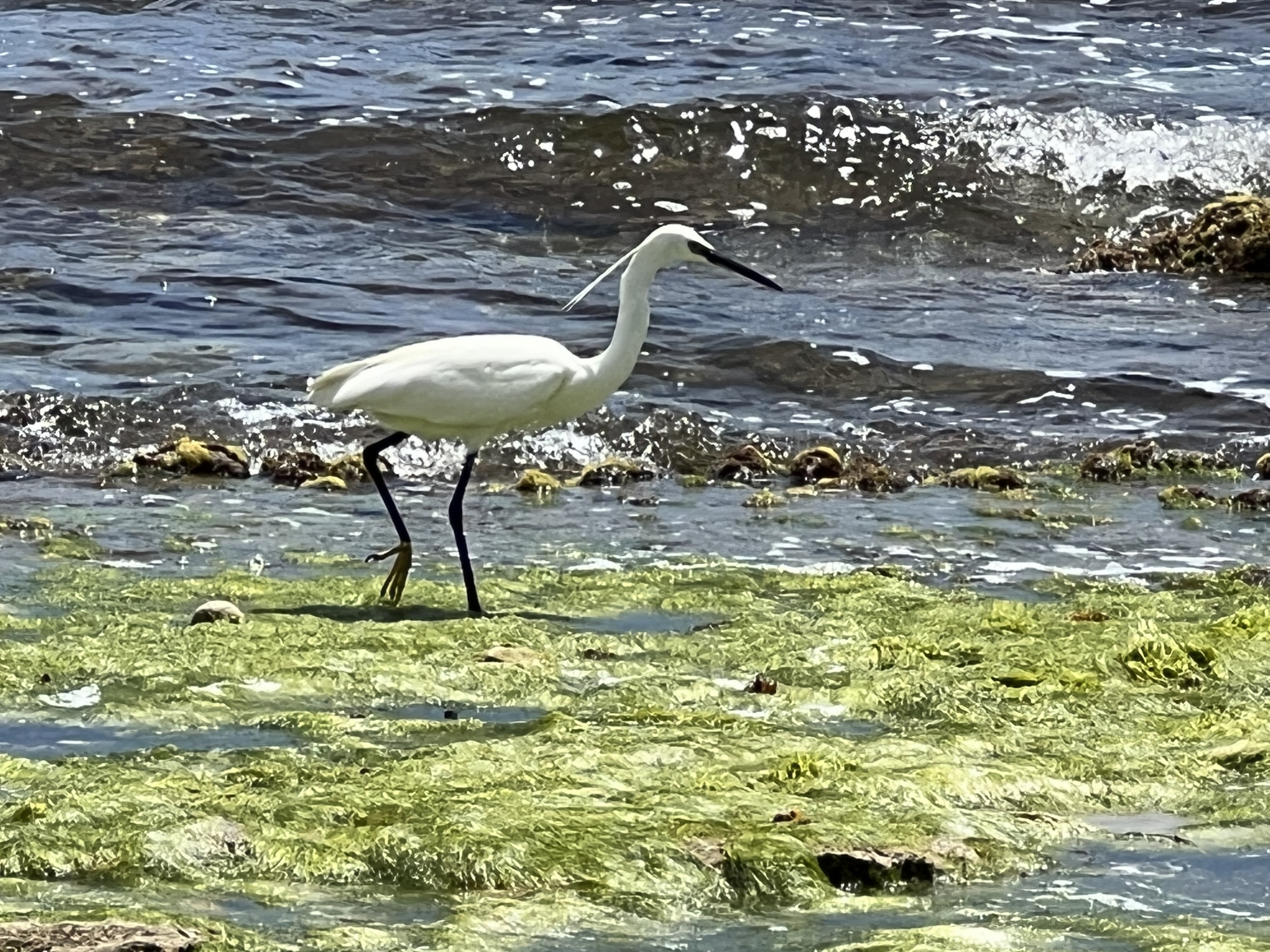 1719743689_IMG_5250