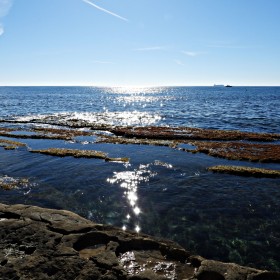 1717594662_DSCN9946