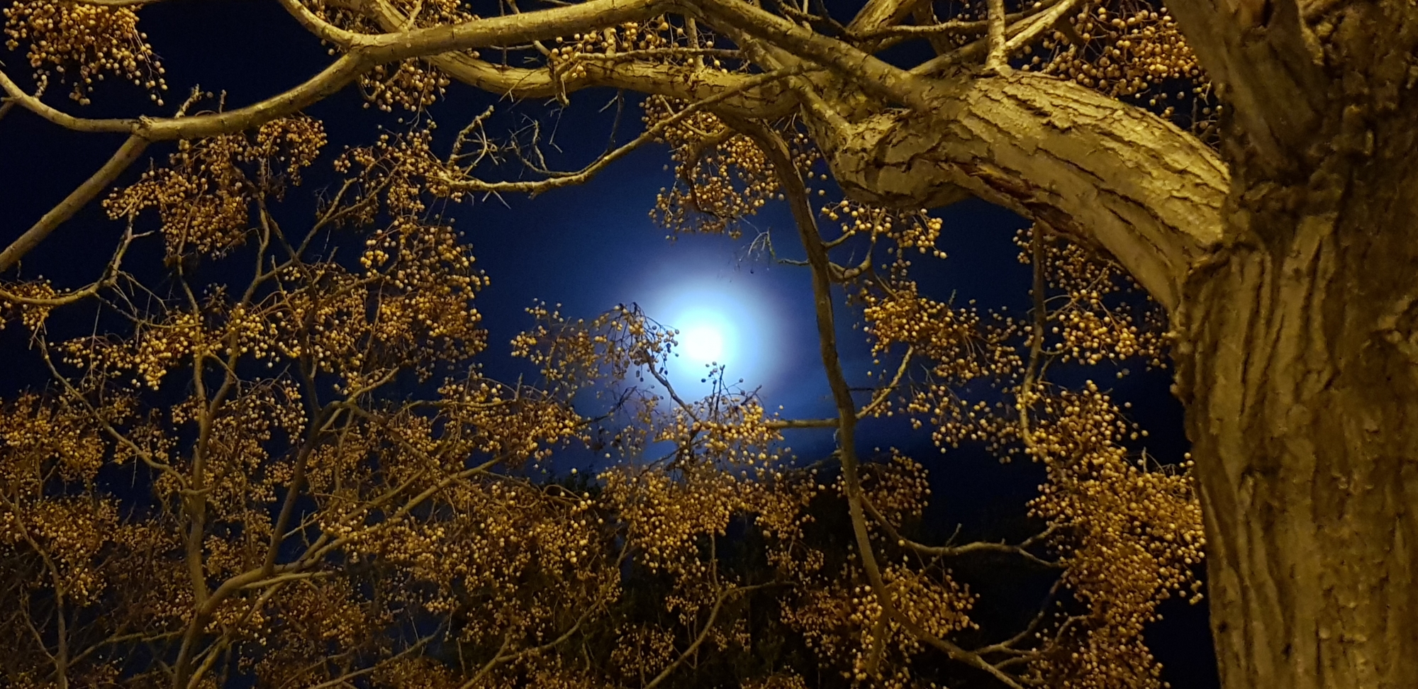 1719593473_Halo lunar y melias