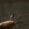 1717606468_IMG_4437 copia