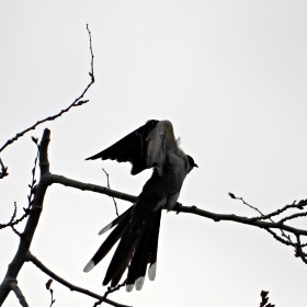 1719663759_DSCN4646