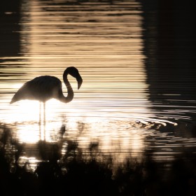 1717814410__DSC4087