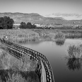 1719768847_a_MG_0239-Editar