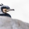 1717814879__DSC8358-Mejorado-NR