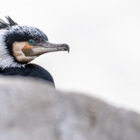 1717814879__DSC8358-Mejorado-NR