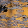 1717815790__DSC3634-Mejorado-NR