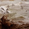 1718042391_DSC_0058