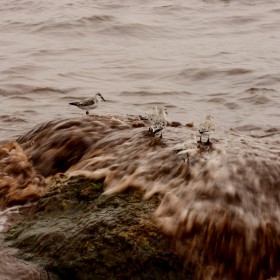 1718042531_DSC_0244