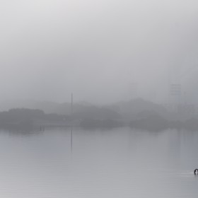 1718334431__DSC8724-2