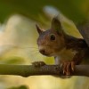1718335140__DSC4779-Mejorado-NR