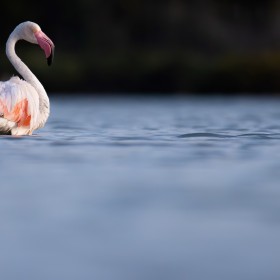 1718335666__DSC6959-Mejorado-NR
