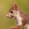 1718438220__H7A8795-DeNoiseAI-low-light