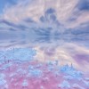 1721233990_Face5433