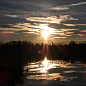 1742943475_DSCN8144