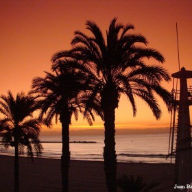 Alicante 2011 047