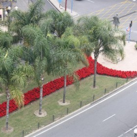 Cruz de los caidos (Large)