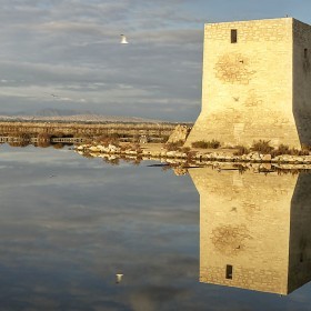 _DSC5226__2__3_tonemapped_recorte