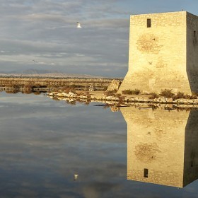 _DSC5226__2__3_tonemapped_recorte