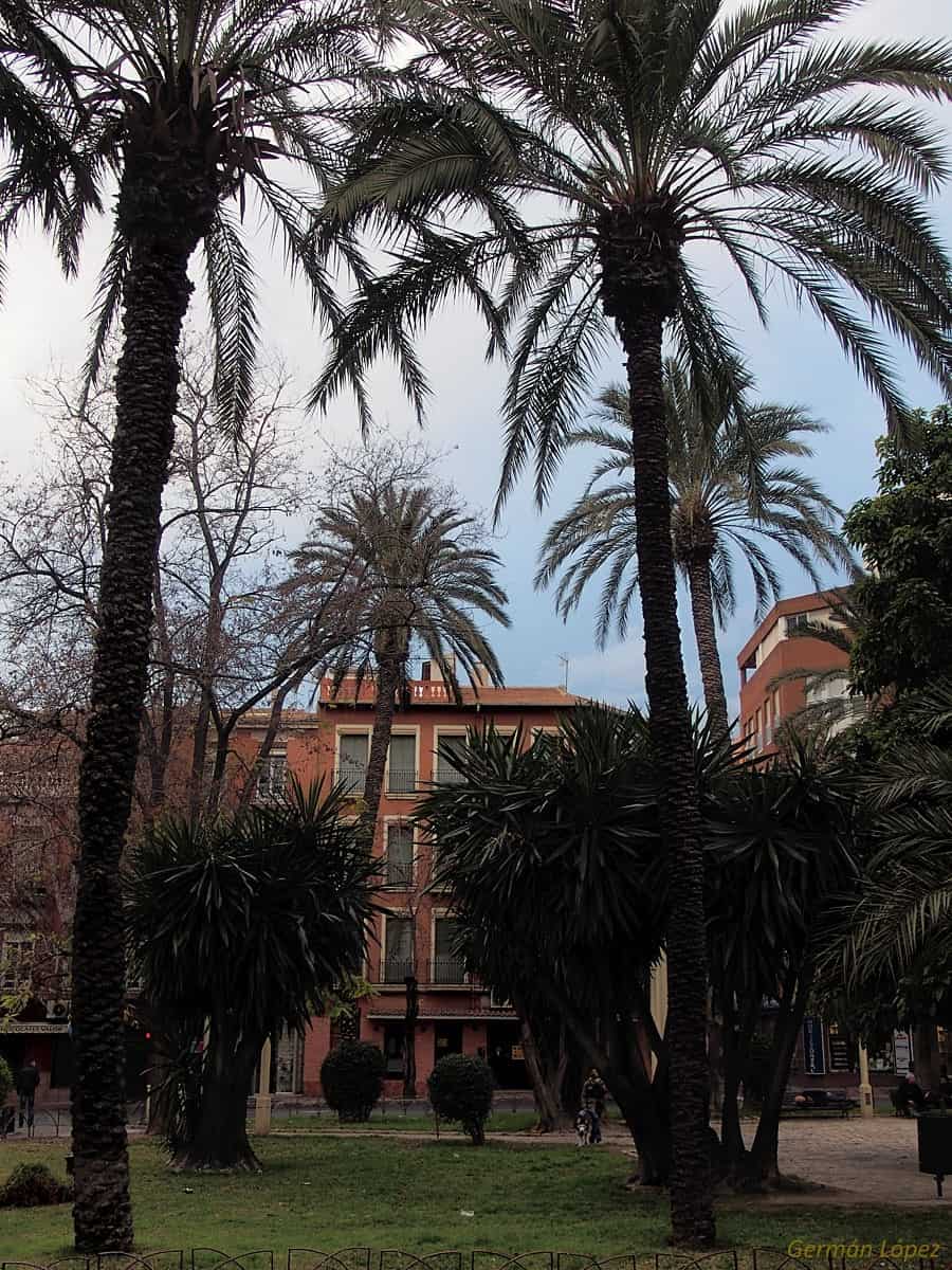 Plaza de España red