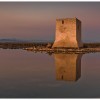 Torre de Tamarit, salinas de Santa Pola