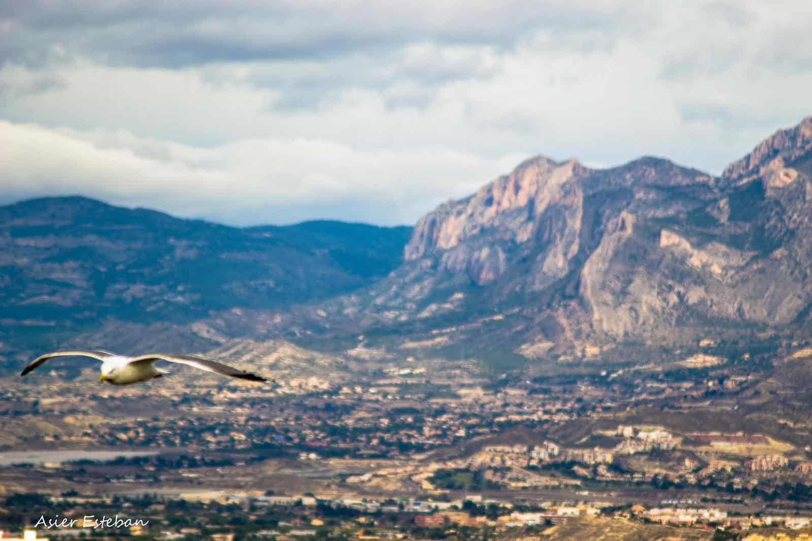 al vuelo